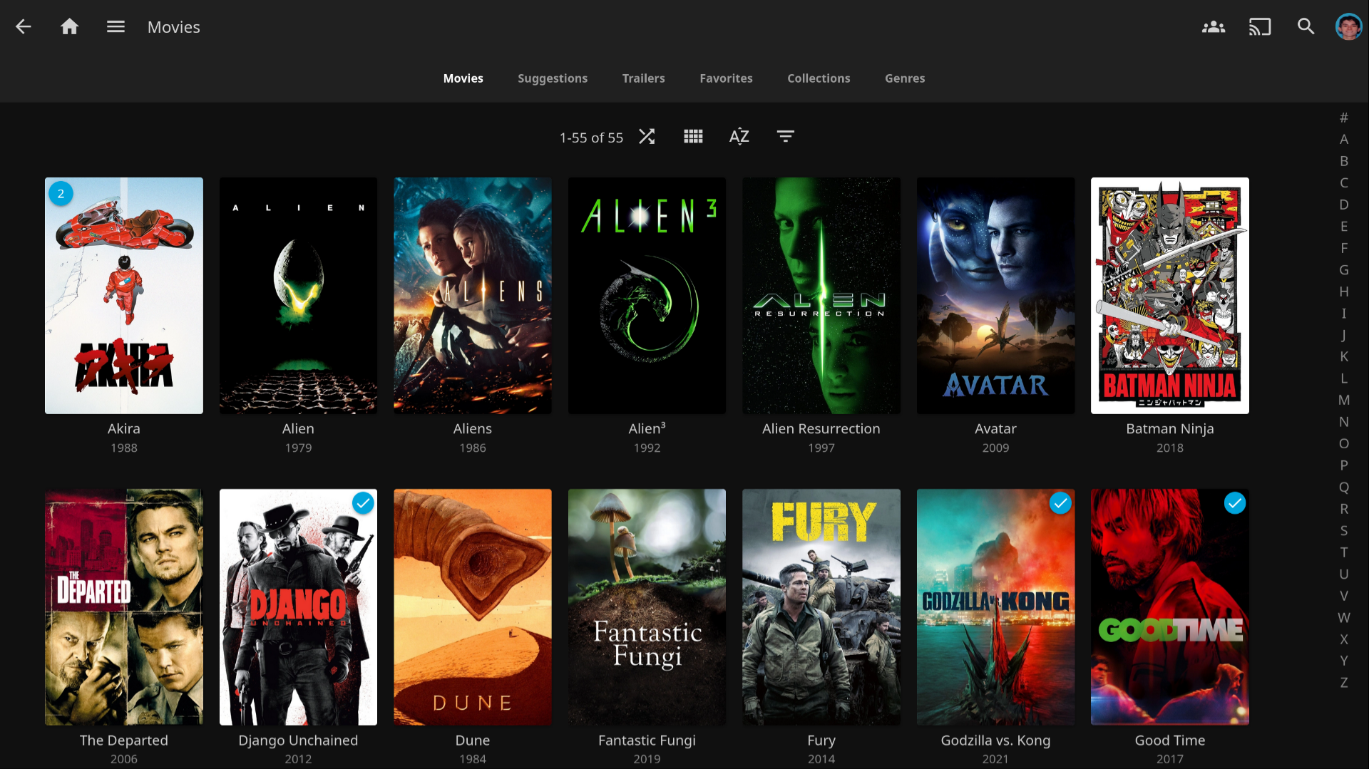 Jellyfin's web interface.